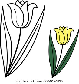 Frühlingsgelbe Tulpe zum Färben des Buches. Vektorgrafik von Tulpenblumen