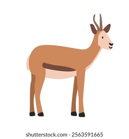 Springbok cartoon clipart. Antelope springbok vector illustration in flat style. Hand-drawn wild animal concept