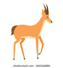 Springbok gazelle icon. Cartoon of springbok gazelle vector icon for web design isolated on white background