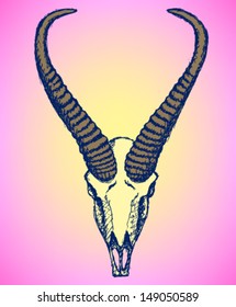 Springbok skull, vector background