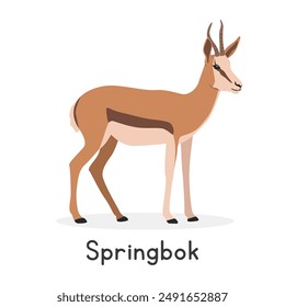 Springbok vector illustration, cartoon clipart character, animal in flat style. Wild animals, wild creatures, wildlife concept. Springbok vector design isolated on white background