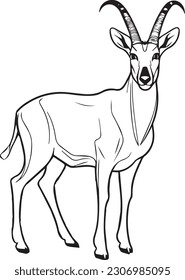 Springbok: Vektorgrafik-Cartoon-Stil zum Färben