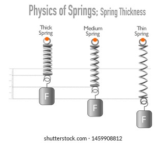 Springs, Fineness, thickness. Hooke's low, spring. Fine wire spring, thick wire spring Flexible metal spiral springs. Flexion of three springs by thickness White background. Physical education, Vector