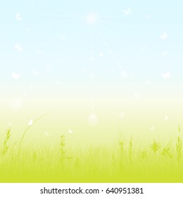 Spring/Summer nature background. Vector.