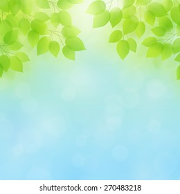 Spring/Summer Vector Background