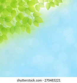 Spring/Summer Vector Background