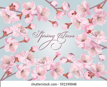 Springtime background or greeting card with cherry flowers. Handmade drawing vector illustration. All flowers and branches are different objects with customizable color fill.
