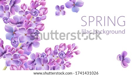Springtime background with lilac flowers and place for text. Vector