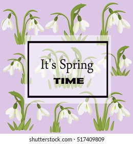 It is springtime. Beautiful white snowdrops on a pastel background for greeting cards congratulations on the spring, Women's Day. Flower vector illustration