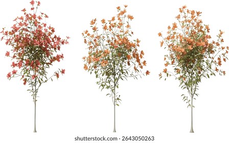 Springtime blossoms, full flowering flowers, ornamental blooms, natural spring flowers, vibrant springtime, fresh flowers, garden blooms, seasonal flowers, beautiful spring blossoms