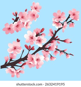 Flores de cerejeira de primavera com pétalas delicadas