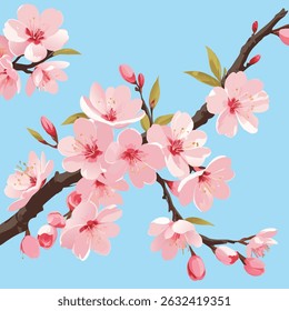 Flores de cerejeira de primavera com pétalas delicadas