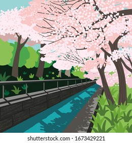 Springtime concept. Cherry blossom trees alley city garden. Hand drawn flat design. Sakura blossoming on town river channel. Decorative spring season event banner template. Vector vintage illustration