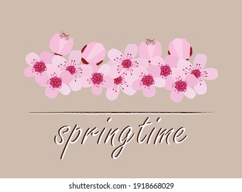 Springtime floral card, cherry blossom, vector illustration