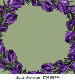 Marco floral de primavera. Flor de croco sobre fondo verde. Plantilla de tarjeta. Boda, invitación de fiesta