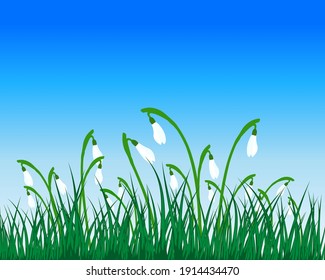 Springtime meadow with blue sky. Vector illustration.