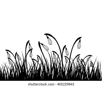 Springtime meadow with snowdrops. Vector illustration.