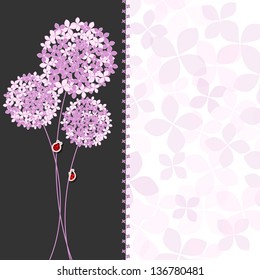 Springtime Purple Pink Hydrangea Flower Greeting Card on Colorful Background
