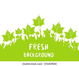 Springtime and summertime fresh background. Green spring meadow silhouette template. Lime summer pattern. Vector illustration. Maple leaf