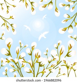 Springtime white fluffy buds on willow trees. Birds soar in bright sunlight in the blue heavens. Palm Sunday and Easter illustration. Natural bloom and rebirth. Serene skies.