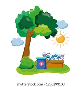 sprinkler of garden with houseplant in the field