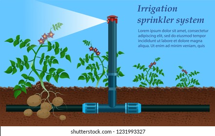 Sprinkler System. Center Pivot Irrigation Concept. Agriculture Field. Drip Irrigation of Sprout using Agricultural Machinery. Agriculture Field Industry. Growth Organic. Vector Flat Illustration.