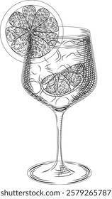 Spritz or limoncello cocktail vector illustration in sketch style. Hand drawn line art for menu and recipes. Monochrome engraving of traditional Italian aperitif.	