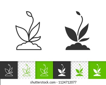 Sprout black linear and silhouette icons. Thin line sign of organic seedling. Plant outline pictogram isolated on white, color, transparent background. Vector Icon shape. Sprout simple symbol closeup