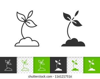 Sprout black linear and silhouette icons. Thin line sign of organic seedling. Plant outline pictogram isolated on white, color, transparent background. Vector Icon shape. Sprout simple symbol closeup