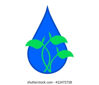 sprout blue water sprout shoot plant herb image vector