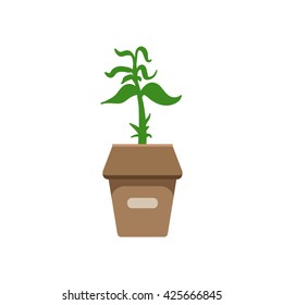 Sprout In A Box Color Luminoso Estilo Simple Vector Plano Ilustraciones En Fondo Blanco