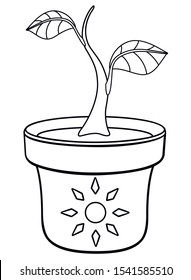 Sprout in a cache-pot - a small young plant - a stalk with two leaves in a flower pot with the sun. Seedling or houseplant - stock vector illustration for coloring. Outline.