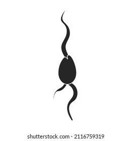 Sprout celery vector icon.Black vector icon isolated on white background piece celery.