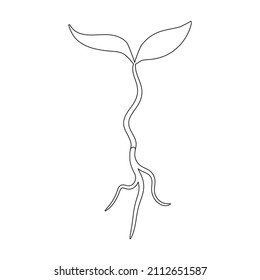 Sprout celery vector icon.Outline vector icon isolated on white background piece celery.