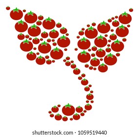 Sprout collage of tomato vegetables in variable sizes. Vector tomato symbols are grouped into sprout pattern. Diet vector illustration.