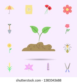 Sprout colored icon. Universal set of nature for website design and development, app development