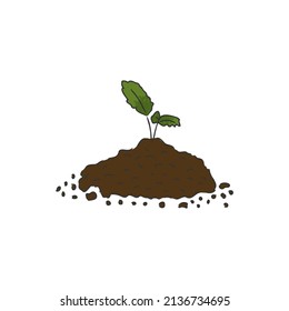 A sprout is coming out of soil