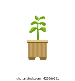 Sprout in A Crate Bright Color Simple Style Flat Vector Illustrations On White Background