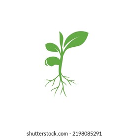 Sprout eco logo icon. Green leaf seedling symbol. Growing plant design concept. Eco icon theme. Ecology icon. seed growing vector. Vector illustration