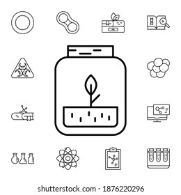 Sprout flat vector icon in biology pack