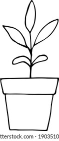 sprout in a flower pot icon, sticker. sketch hand drawn doodle style. vector monochrome minimalism. seedling, spring, plant, horticulture, garden, ecology.