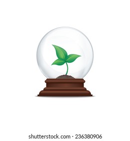 Sprout in glass ball