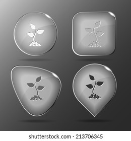 Sprout. Botones de vidrio. Ilustración vectorial.