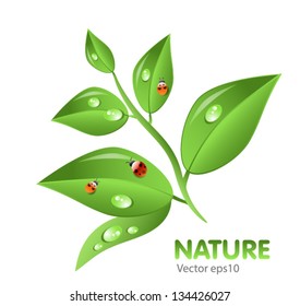 sprout with green leaves