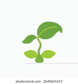 Sprout with Green Leaves, Springtime Growth on White