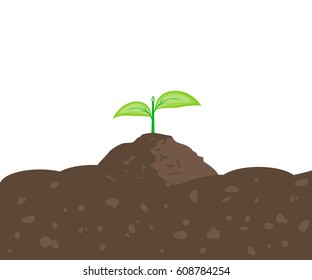 Sprout in the ground with place for text. Plant growing in the earth. Seedling icon. Vector illustration flat design