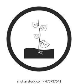 Sprout in ground symbol sign simple icon on background