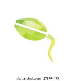 sprout growing geometry shapes design vector