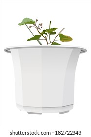 Sprout growing in plastic flowerpot
