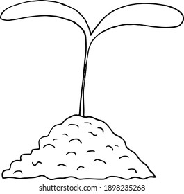 sprout growing from soil illustpation. plant vector icon, sticker. sketch hand drawn doodle style. vector monochrome minimalism. seedling, spring, horticulture, garden ecology